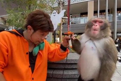 Man Fools Around With Monkey, Gets A Funny Lesson