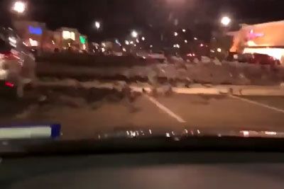 Guy Wrecks His Car While Trying To Run Over Birds
