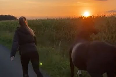Woman On Rollerblades Races Her Horse At The Sunset
