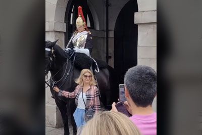 It's Never Smart To Touch The Reins Of Queen's Life Guard's Horse