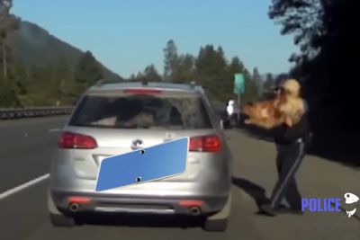 Trooper Catches Dog Trying To Flee From A Traffic Stop