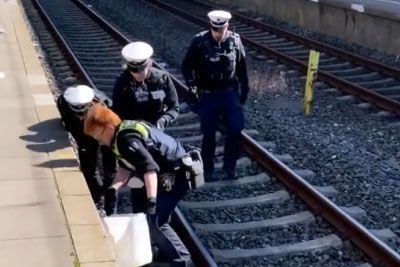 Police Rescue Little Ducks From Train Tracks In Germany