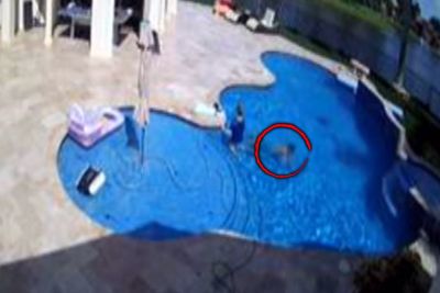 12-Year-Old Rescues His Therapist From Drowning In Pool