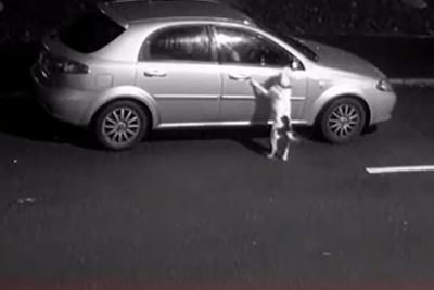 Distressing Moment Man Dumps Dog And Drives Away