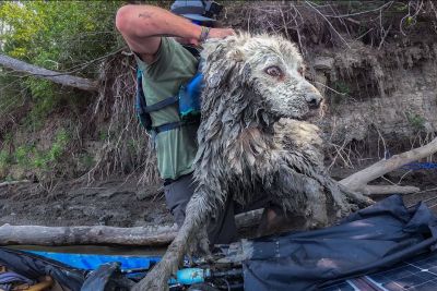 Man On A Canoe Rescues A Dog Stuck Under A Log