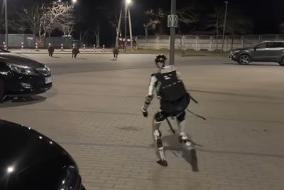Rolex-wearing robot chases wild boars in Warsaw