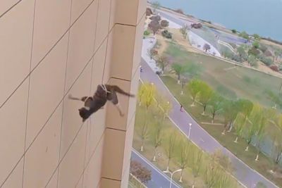 Women Rescue Stranded Cat from Rooftop Edge With a Rope