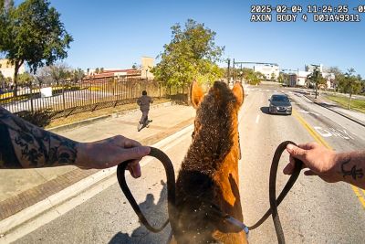 Police Horse Chases Fleeing Suspect – Bodycam Captures Dramatic Arrest