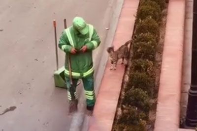 Street Sweeper Who Stopped to Pet a Stray Cat Touched Millions – His Story Ended in Tragedy