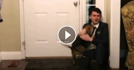 Dog Goes Crazy When Seeing His Owner After Two Years | Klipland.com