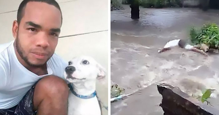 Dog Gets Swept Away By Deadly Torrent, His Owner Dives In To Rescue Him ...
