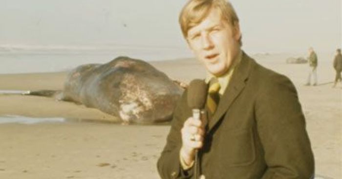 Exploding Whale 50th Anniversary | Klipland.com
