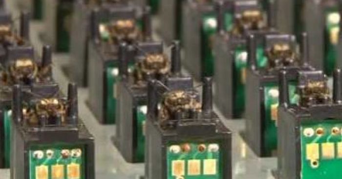 Exploding Inscects Insects Trained To Sniff Out Explosives | Klipland.com