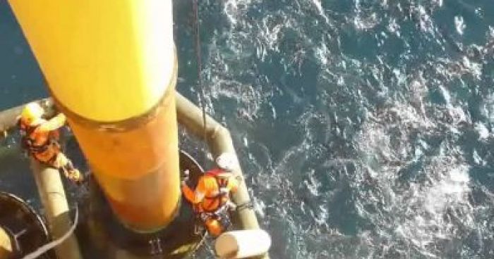 Oil Rig Shark Attack | Klipland.com