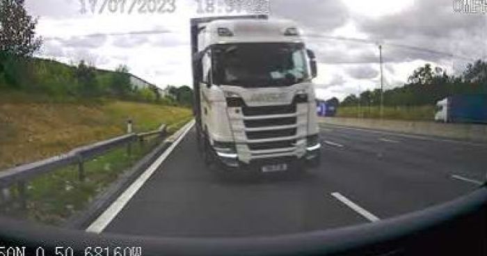 Lorry Driver Sentenced After Killing Horse In M1 Collision | Klipland.com