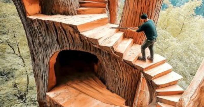 Secrete Tree Man Builds Secret Tree House In The Middle Of The Forest | Klipland.com
