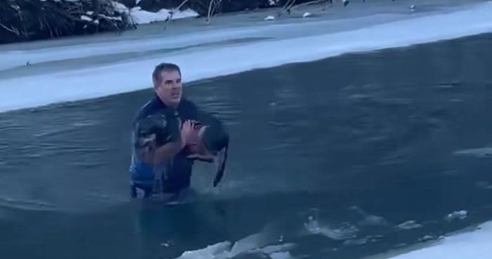 Man Jumps Into A Freezing River In Vermont To Rescue A Missing Dog ...