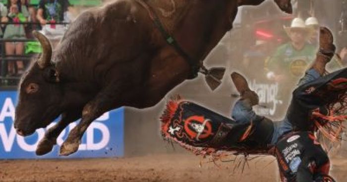 The Most Unforgettable Wrecks Of The Bull Riders | Klipland.com