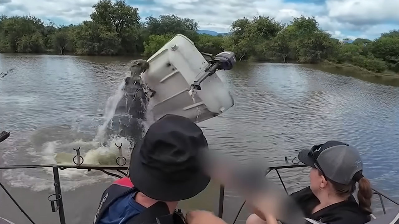 Hippo overturns wildlife rescue boat during rescue operation in South Africa