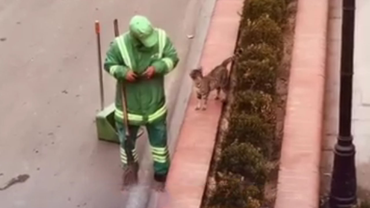 Street sweeper pauses work to pet a stray cat in Turkey