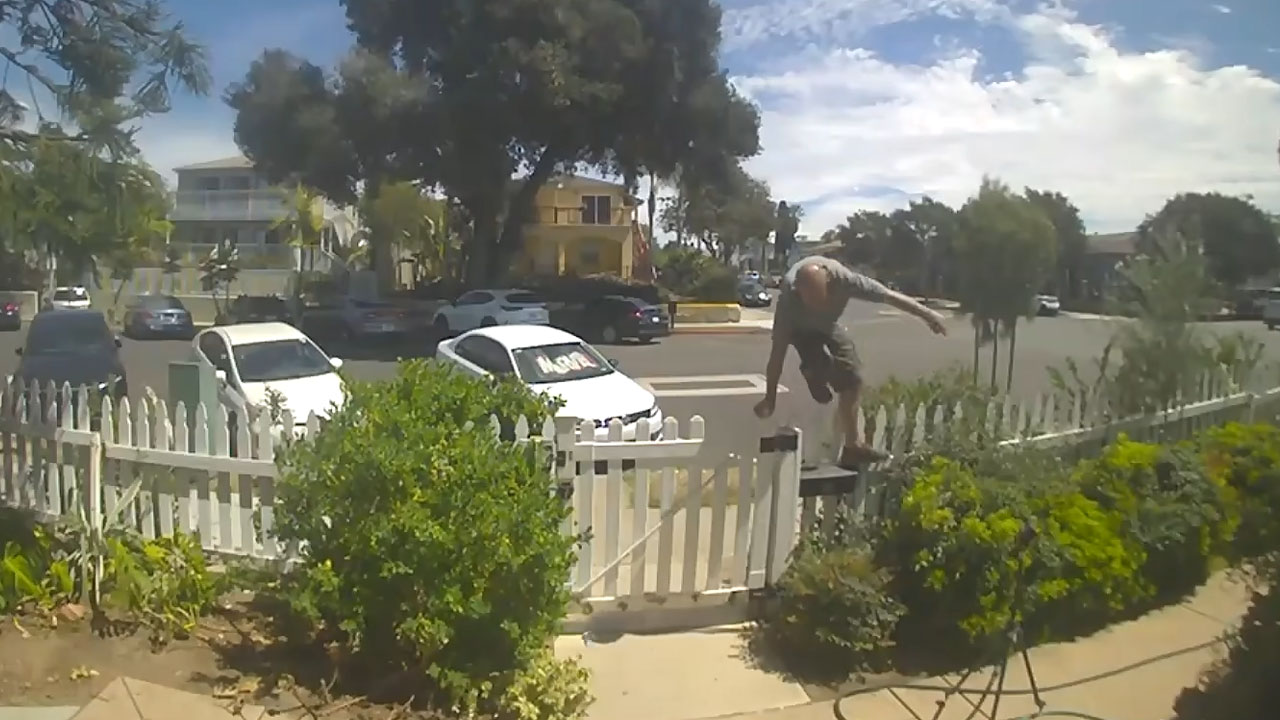 Golden retriever Nash brings toys to burglar during San Diego home burglary